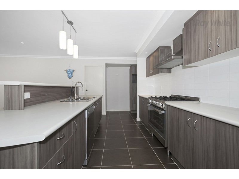 6 Tattler Street, Mango Hill QLD 4509