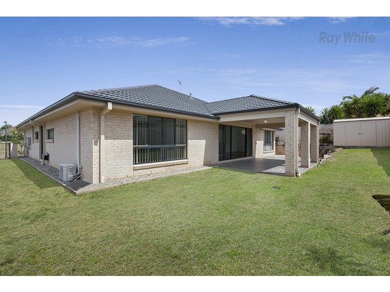 6 Tattler Street, Mango Hill QLD 4509