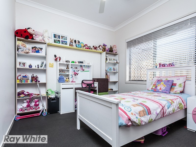 19 Klien Circuit, North Lakes QLD 4509