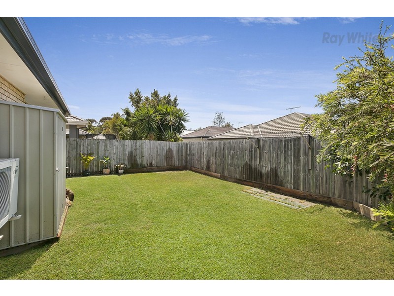 9 Elkhorn Court, North Lakes QLD 4509