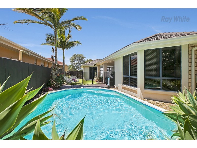 12 Greygum Street, North Lakes QLD 4509