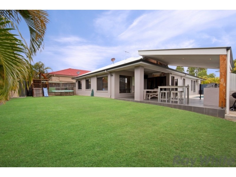 10 Kurrajong Circuit, North Lakes QLD 4509