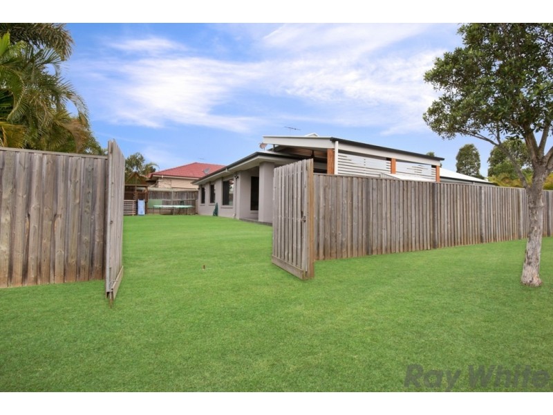 10 Kurrajong Circuit, North Lakes QLD 4509