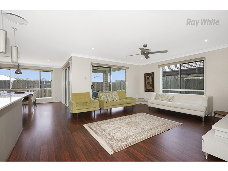 14 Edmund Circuit, North Lakes QLD 4509