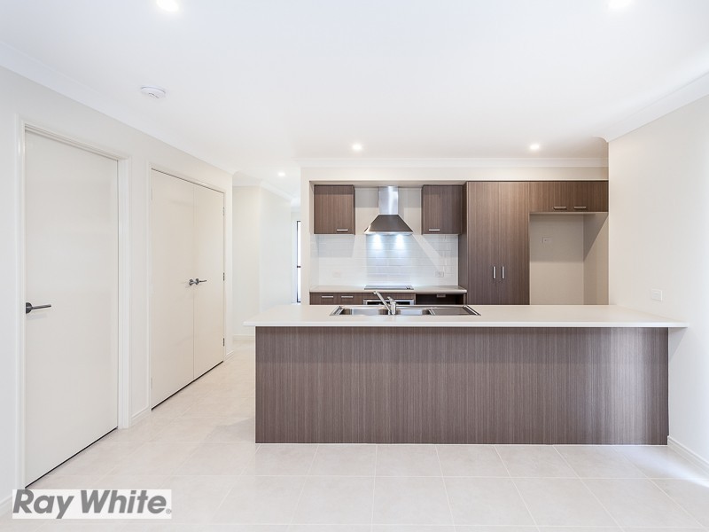 31 Donnelly Street, Mango Hill QLD 4509