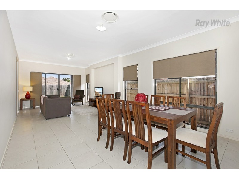 15 Elkhorn Court, North Lakes QLD 4509