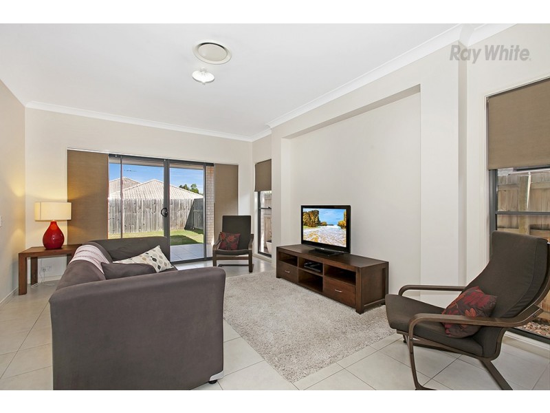 15 Elkhorn Court, North Lakes QLD 4509