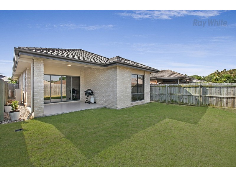 15 Elkhorn Court, North Lakes QLD 4509