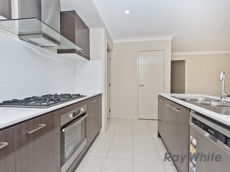 10 Jamie Street, Mango Hill QLD 4509