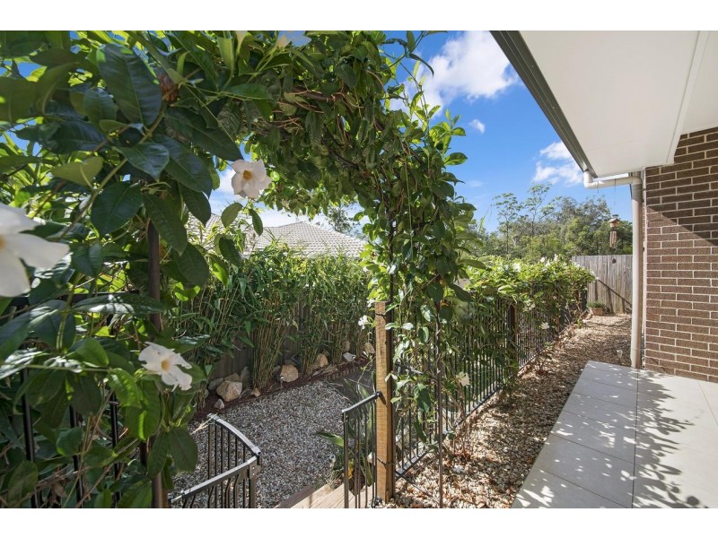 36 Pademelon Circuit, North Lakes QLD 4509