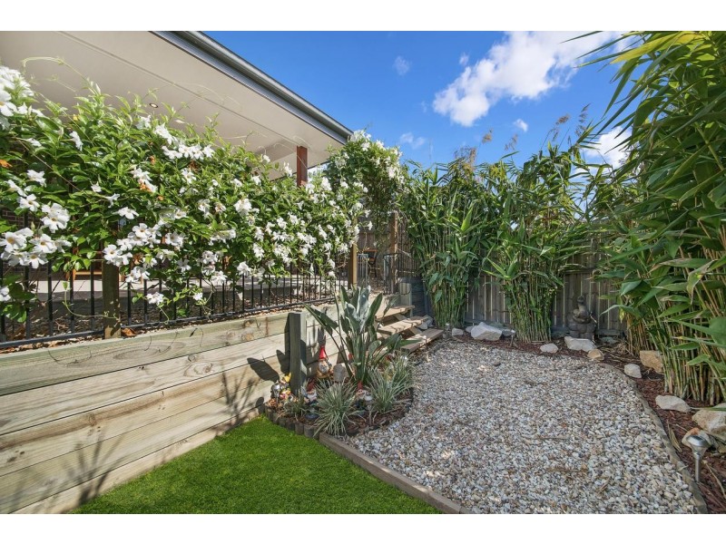 36 Pademelon Circuit, North Lakes QLD 4509