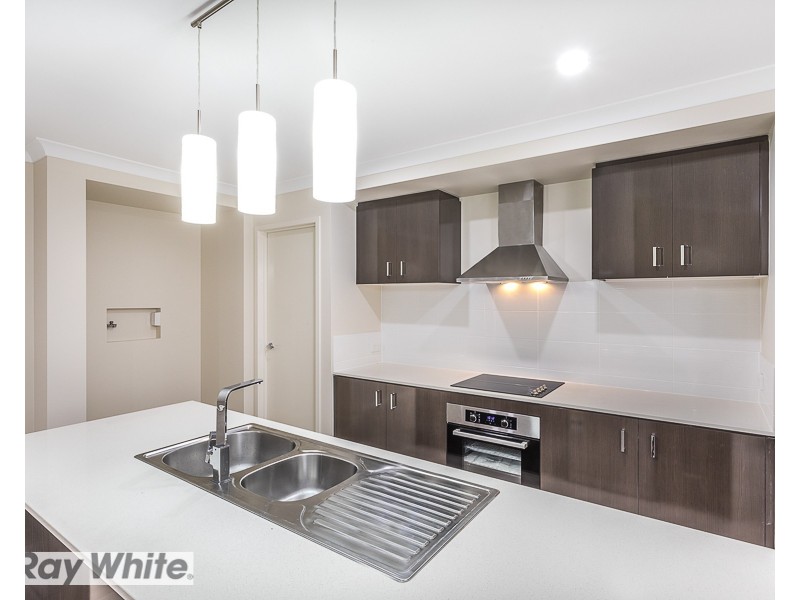 115 Campbell Drive, Mango Hill QLD 4509