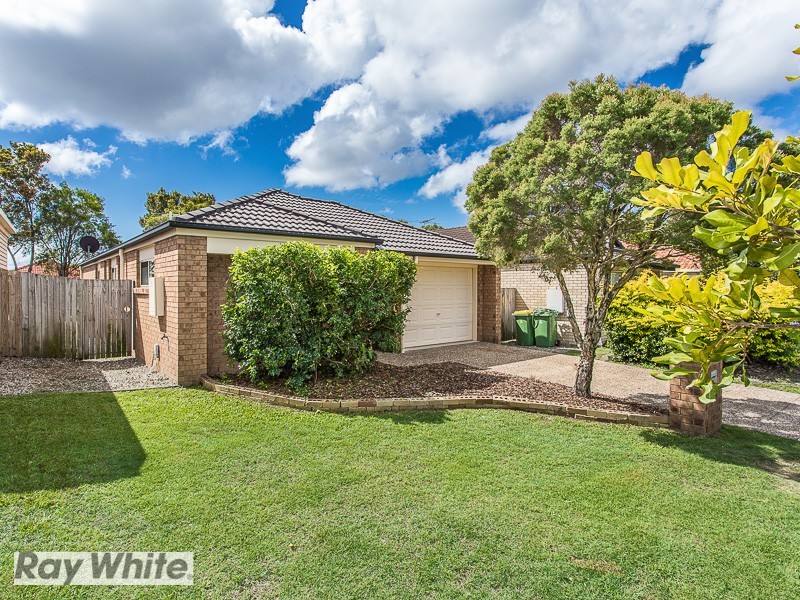 19 Cheviot Street, North Lakes QLD 4509