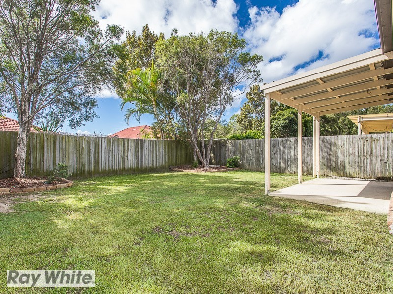19 Cheviot Street, North Lakes QLD 4509