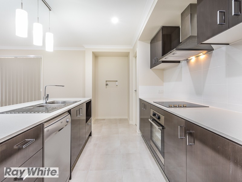 115 Campbell Drive., Mango Hill QLD 4509