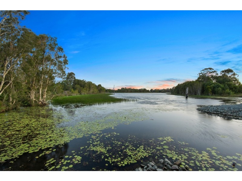6 Jasper Place, Mango Hill QLD 4509