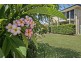 67 Cottonwood Circuit, North Lakes QLD 4509