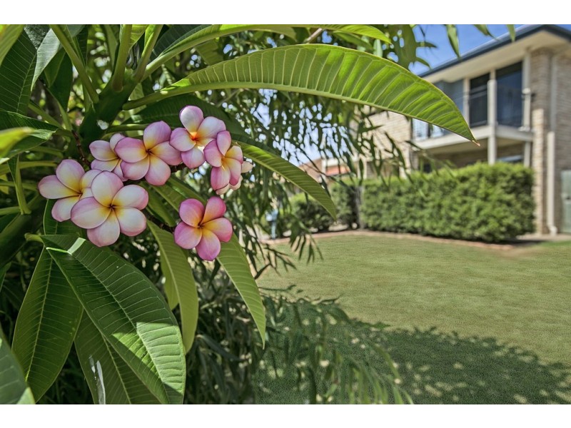 67 Cottonwood Circuit, North Lakes QLD 4509