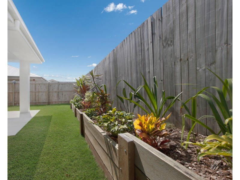 29 Tattler Street, Mango Hill QLD 4509