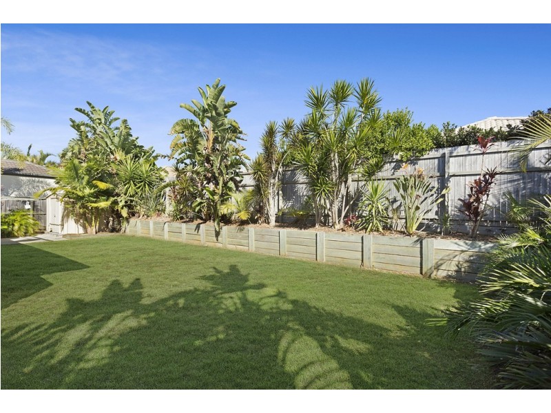 3 Wombat Parade, North Lakes QLD 4509