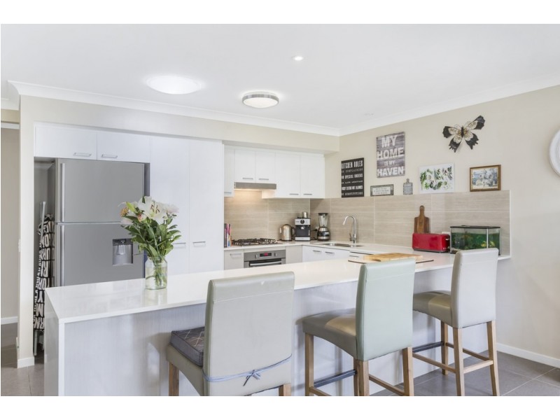 20 Pinesyde Street, Mango Hill QLD 4509