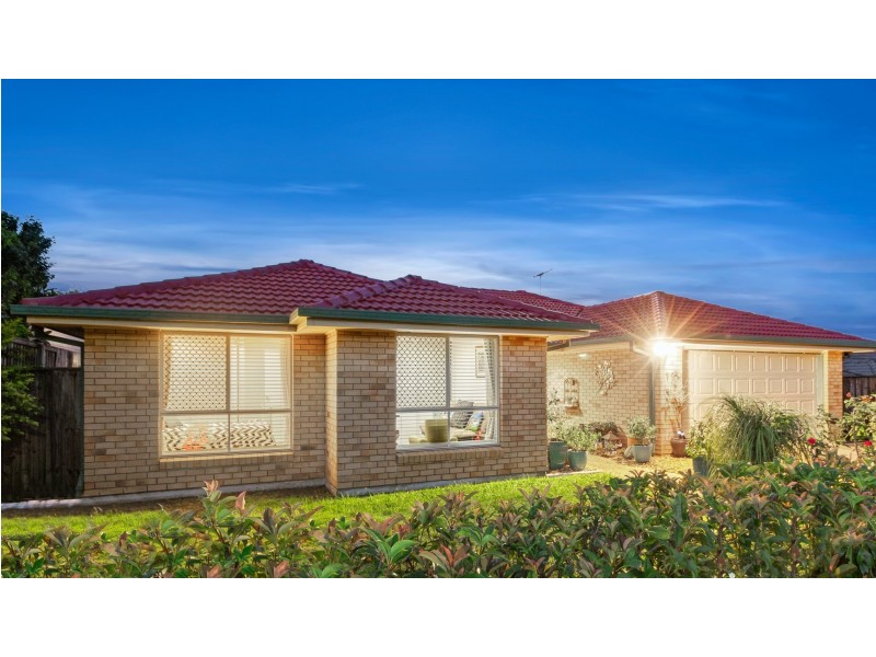19 Jabiru Drive, Mango Hill QLD 4509