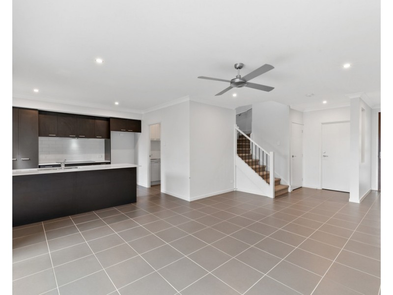 6 Buccaneer Street, Newport QLD 4020