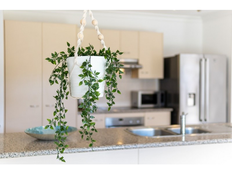 27 Turquoise Crescent, Griffin QLD 4503