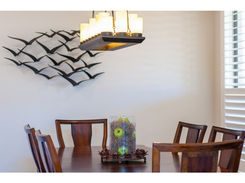 42 Donnelly Street, Mango Hill QLD 4509