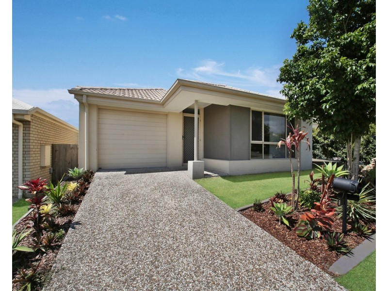 3 Daintree Circuit, North Lakes QLD 4509