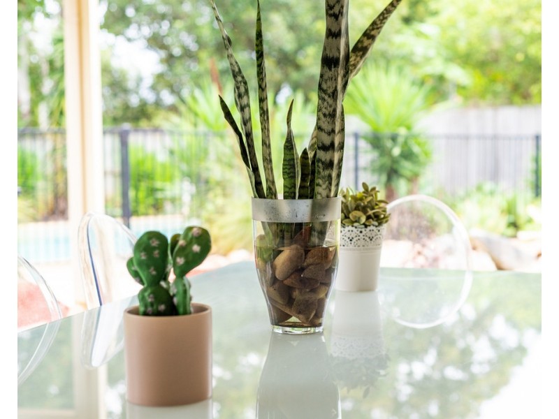 10 Butterfly Drive, Kallangur QLD 4503