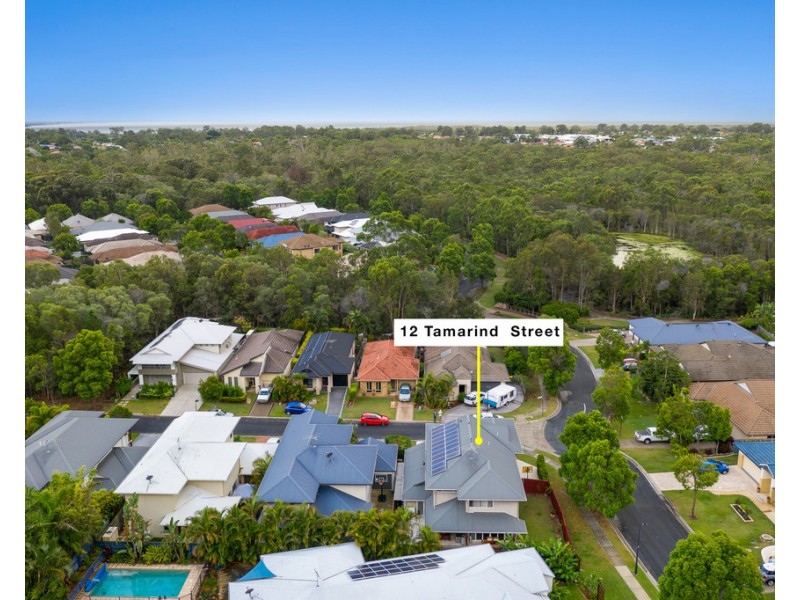 12 Tamarind Street, North Lakes QLD 4509