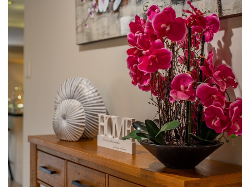 15 Bridgeport Drive, North Lakes QLD 4509