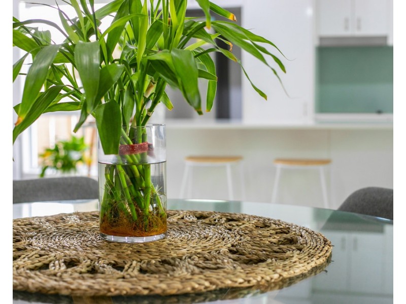 12/1 Mckenzie Road, Mango Hill QLD 4509