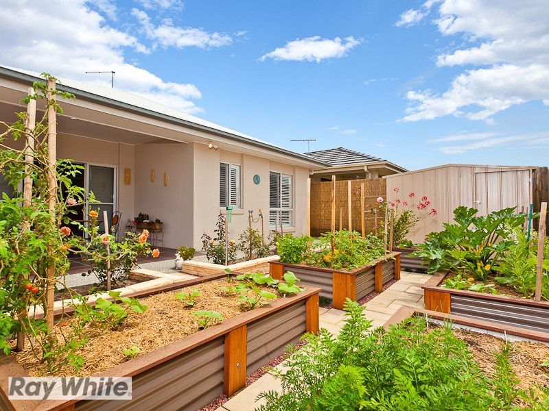 14 Troon Street, North Lakes QLD 4509