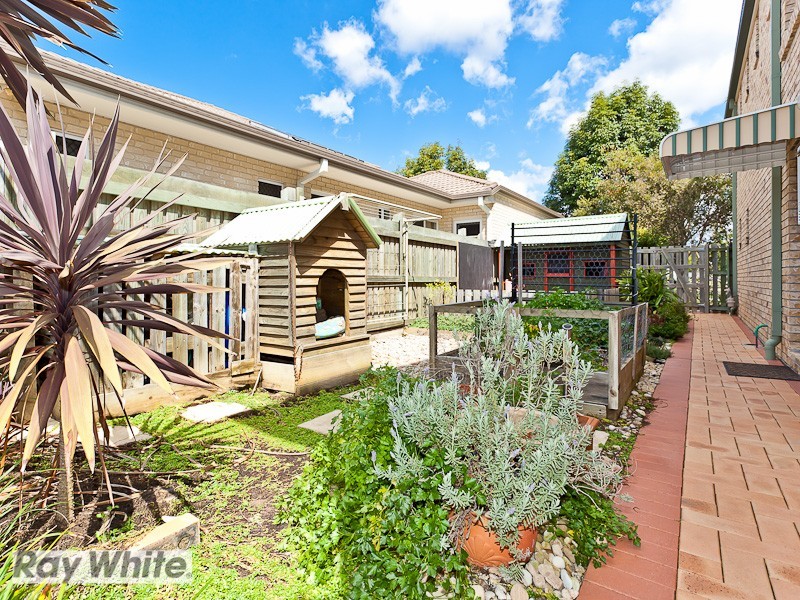 53 Cottonwood Circuit, North Lakes QLD 4509
