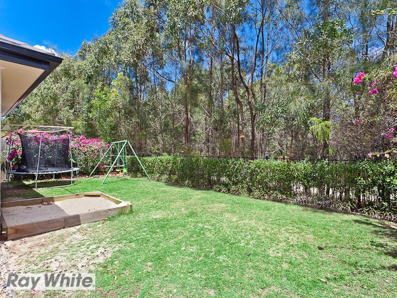 6 Hoya Close, North Lakes QLD 4509