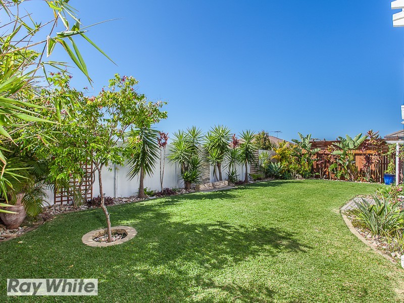 20 Numbat Street, North Lakes QLD 4509