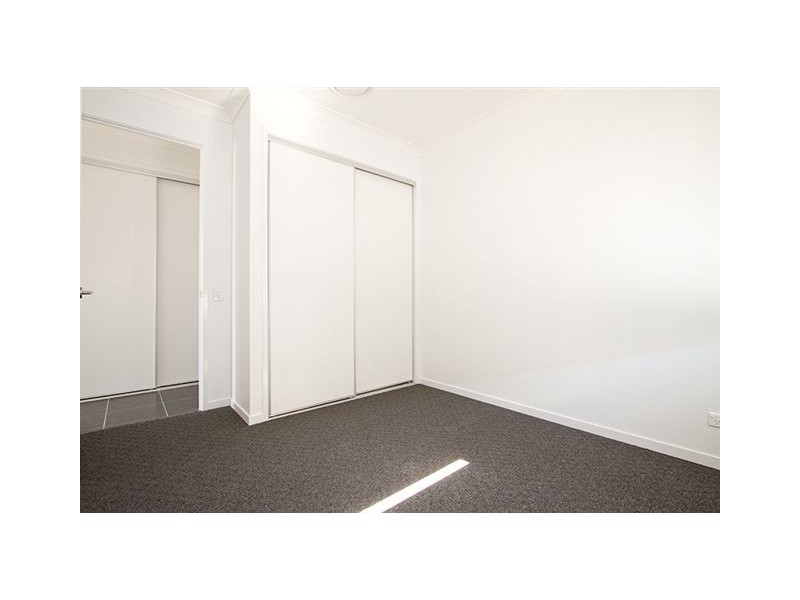 11 Tamar Circuit, North Lakes QLD 4509