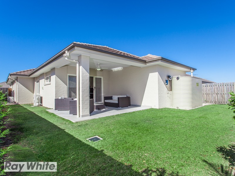 56 Langer Circuit, North Lakes QLD 4509