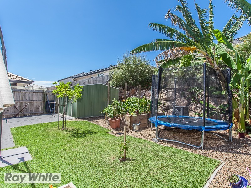 4 Palmgrove Place, North Lakes QLD 4509