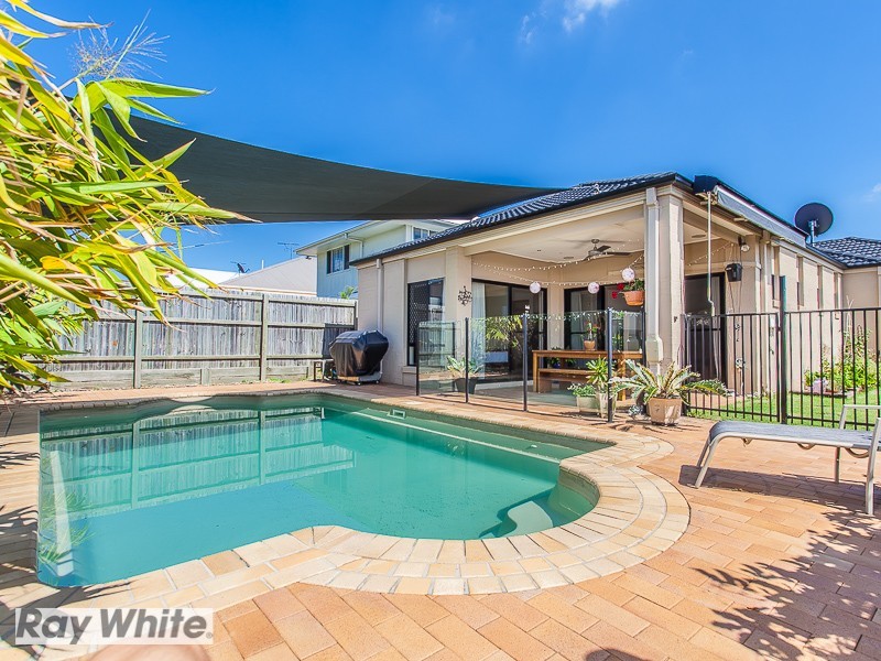 16 Picabeen Court, North Lakes QLD 4509