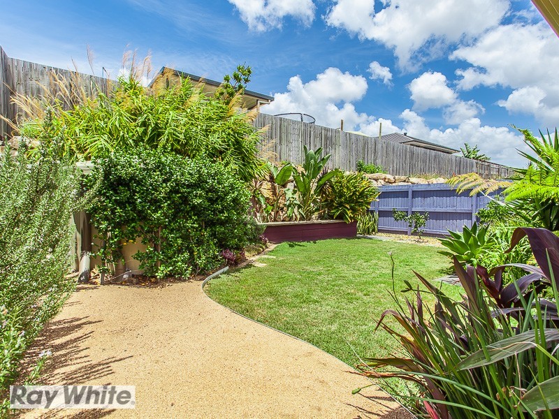 11 Nina Crescent, North Lakes QLD 4509