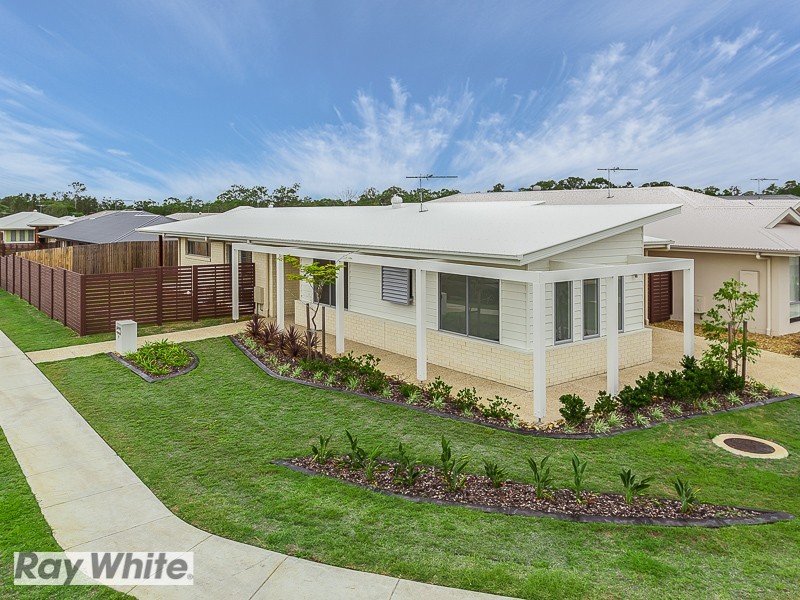 19 Glen Grove Circuit, Mango Hill QLD 4509