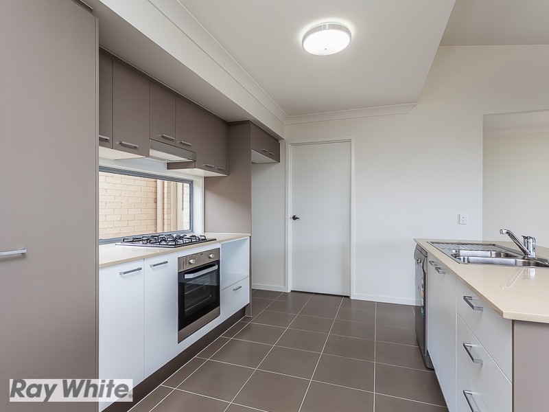 19 Glen Grove Circuit, Mango Hill QLD 4509