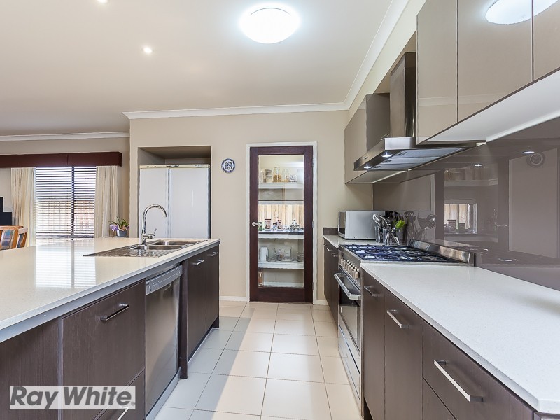 66 Cowen Terrace, North Lakes QLD 4509