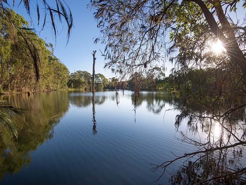 8 Bonnington Court, Murrumba Downs QLD 4503