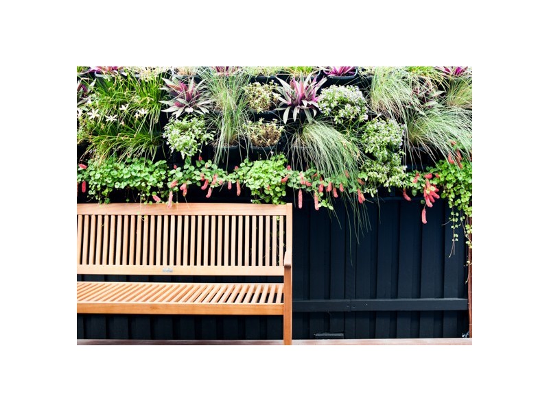 North Lakes QLD 4509