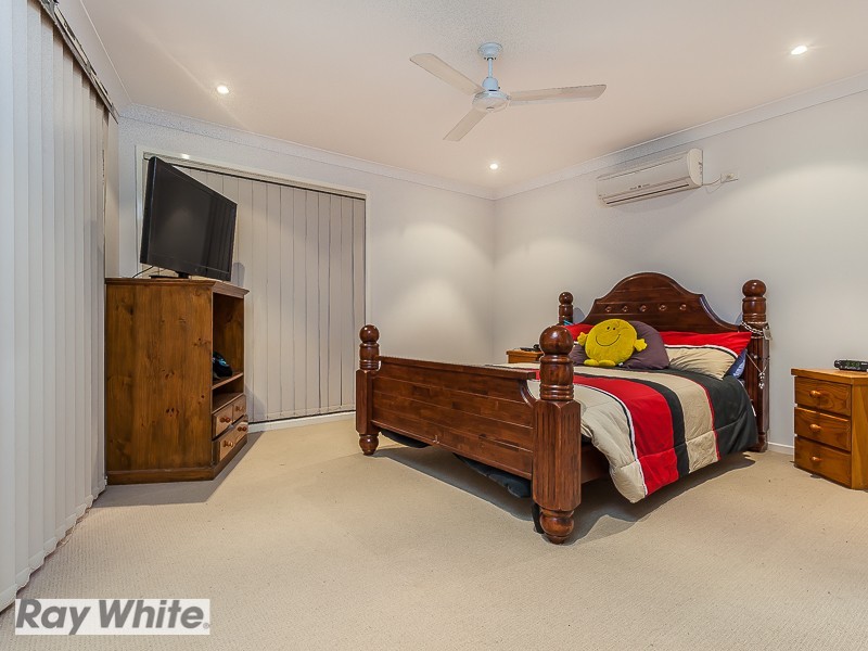8 Whiteface Street, Mango Hill QLD 4509