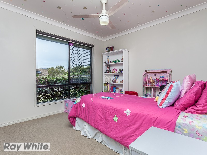 10 Tattler Street, Mango Hill QLD 4509
